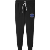 Carolina Thunder Breakaway Youth Jogger Pants